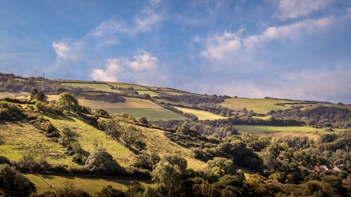 The rolling fields and woods in the countryside surrounding West Challacombe Manor and Cottage, Devon